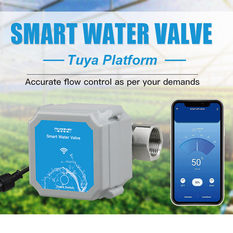 Tuya Zigbee Or Wifi Intelligen - Smart Garden Gate 评论和价格