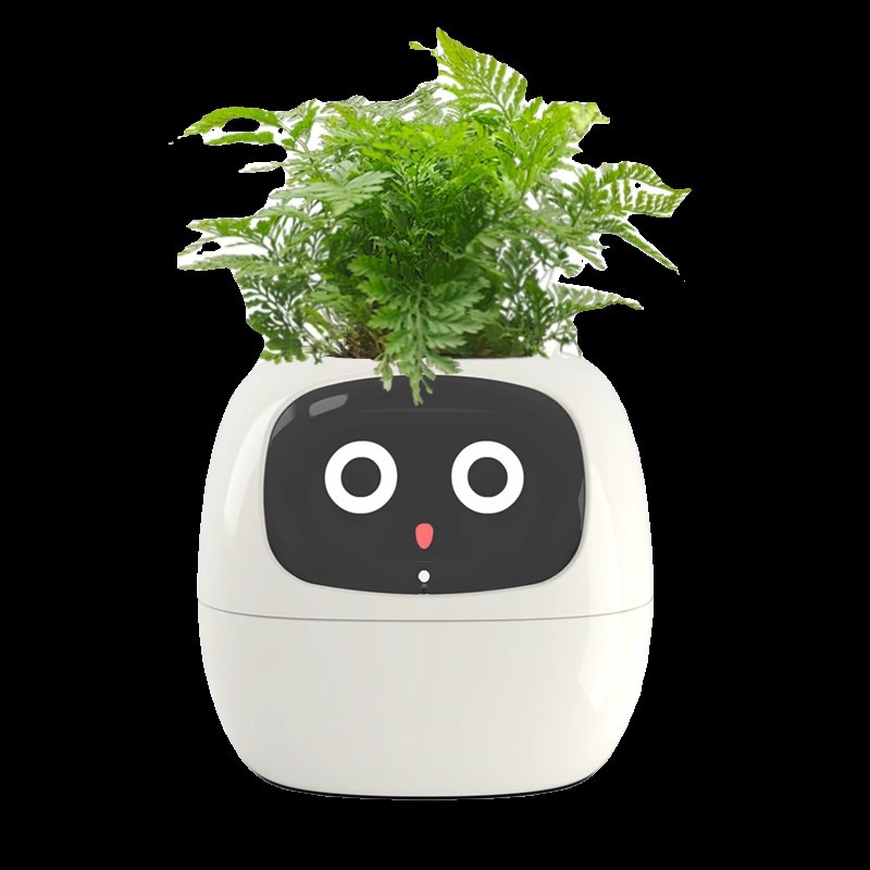 Sensor Smart Mimi Flower Pot F - Self Watering Pot Sensor 评论和价格
