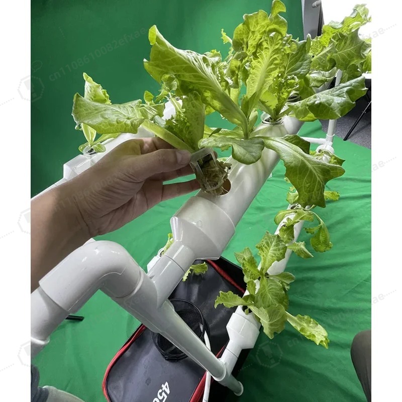 NFT Channel Hydroponics System - Smart Garden Hanging Baskets 评论和价格