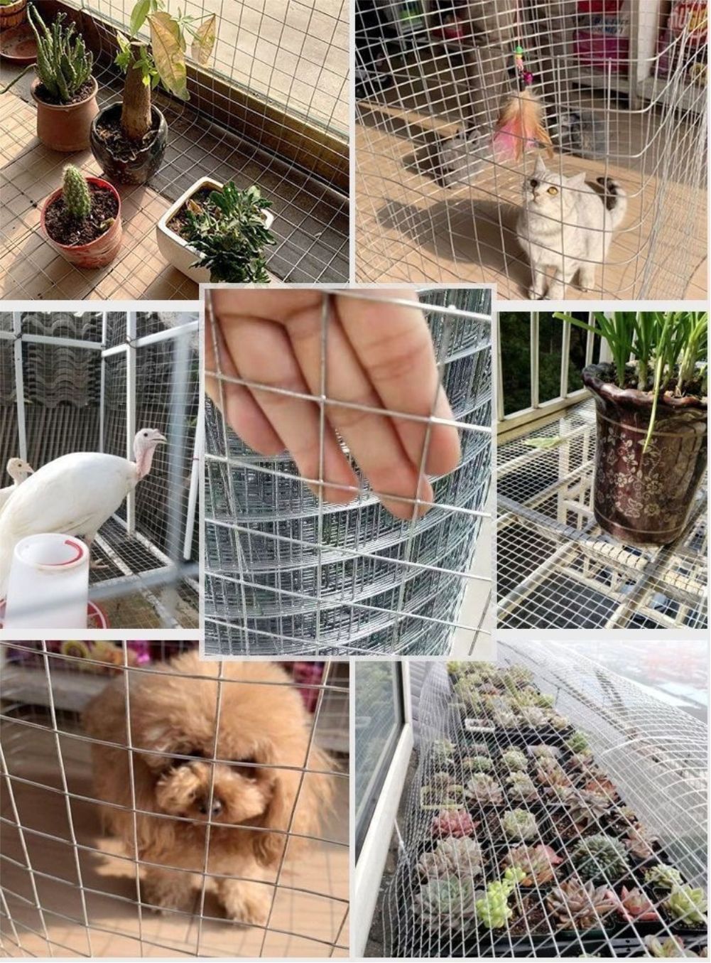 Hot Dip Galvanized Breeding We - Smart Garden Fence 评论和价格