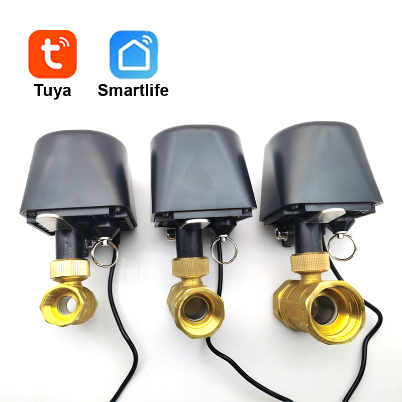 Tuya WiFi or Zigbee Water Valv - Smart Garden Water Timer 评论和价格